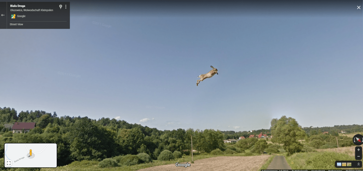 Flying rabbit – StreetViewFails – The Funny Street View Google Maps Fails